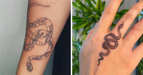 snake shin tattoo|85 Snake Tattoos That May Have You Wrapping Around The Idea